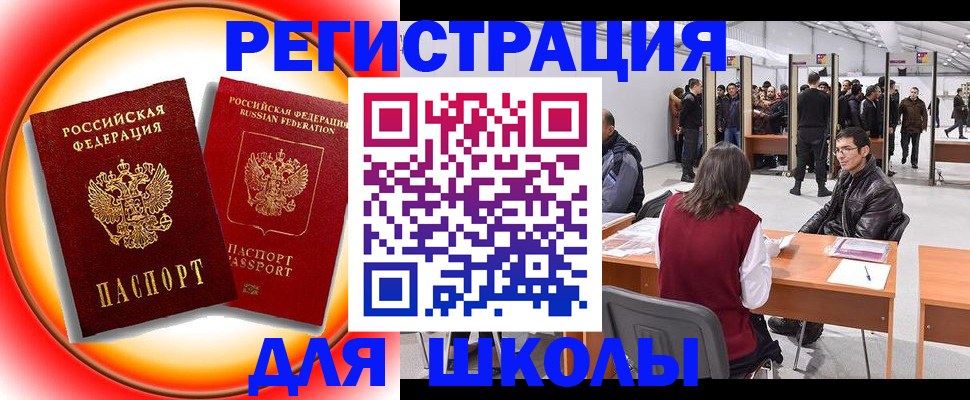 регистрация в Вышнем Волочке